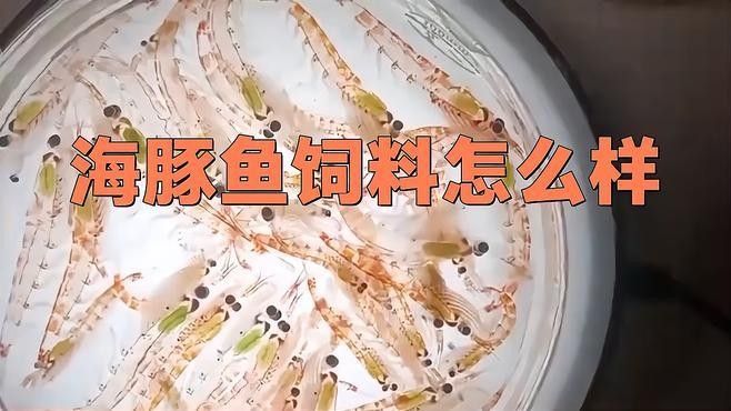 龍魚專用飼料有哪些品牌推薦？