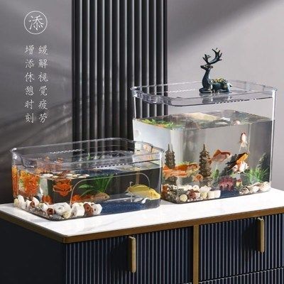 六角恐龍魚怎么造景：六角恐龍魚適宜水溫范圍，六角恐龍魚混養(yǎng)注意事項(xiàng)