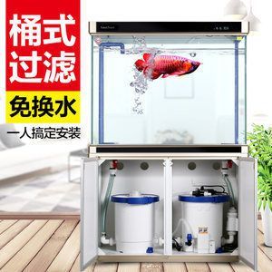 龍魚專用燈是多少伏的好：如何根據水族箱大小選燈，龍魚專用燈品牌推薦 龍魚專用燈是多少伏的好：如何根據水族箱大小選燈，龍魚專用燈品牌推薦 龍魚百科 第5張