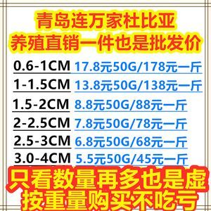 北京龍魚批發市場營業時間表：北京龍魚批發市場