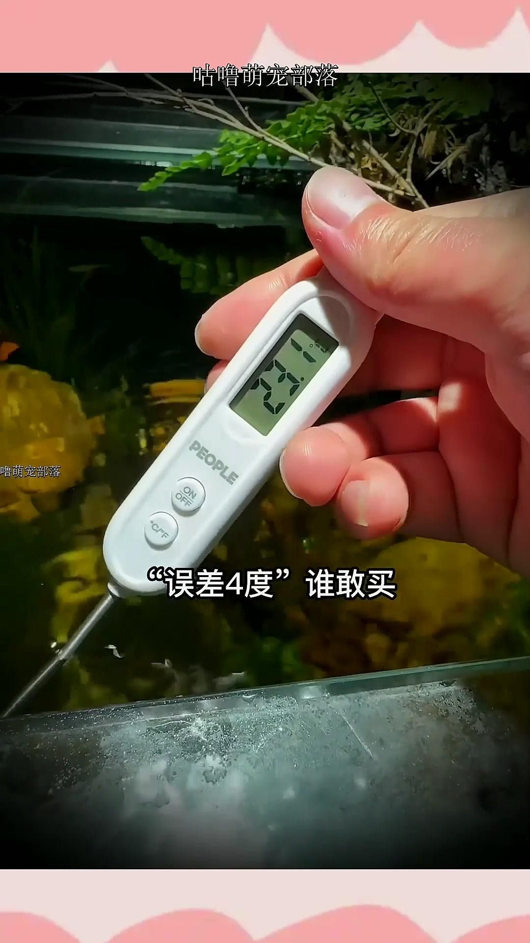 如何定期校準(zhǔn)魚缸溫度計(jì)？