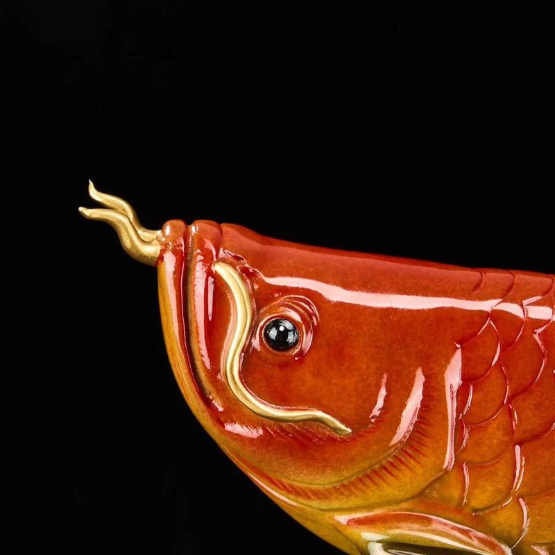 大型金龍魚圖片高清