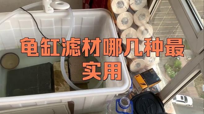 龍龜放魚缸有哪些材質選擇？