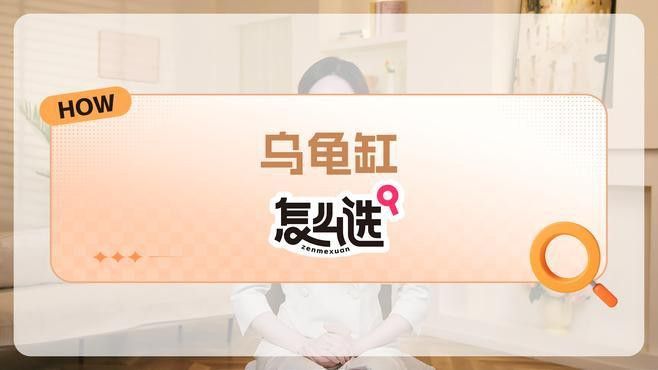 龍龜放魚缸有哪些材質選擇？