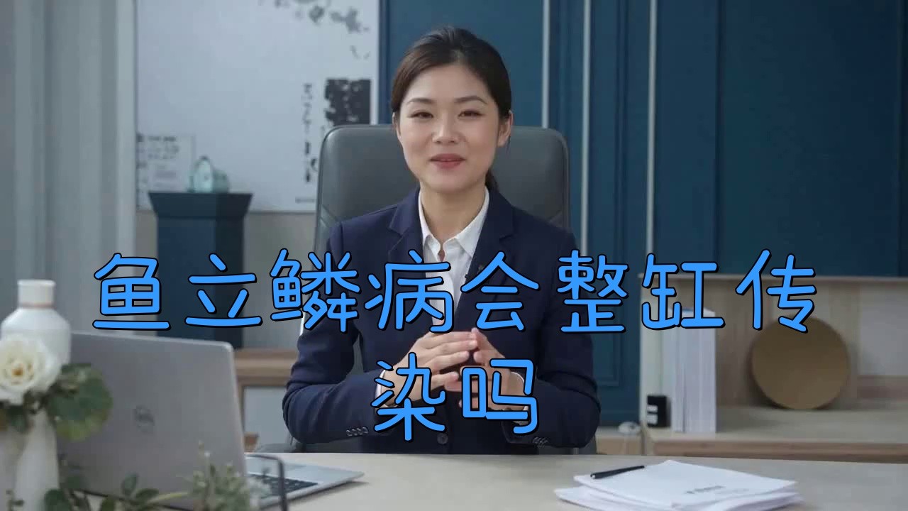 紅龍魚立鱗病會傳染嗎？ 紅龍魚立鱗病會傳染嗎？ 龍魚百科 第2張