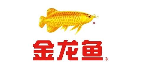 金龍魚營(yíng)銷策劃方案范文怎么寫，金龍魚營(yíng)銷策劃方案范文