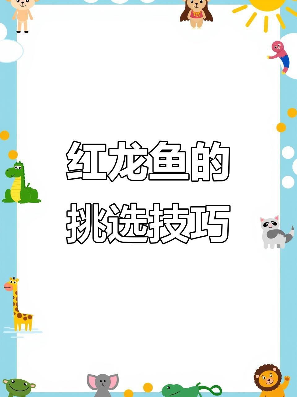 如何鑒別瑰寶龍紅龍魚的品質(zhì)？