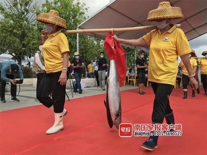 北海龍魚圖片欣賞大全大圖