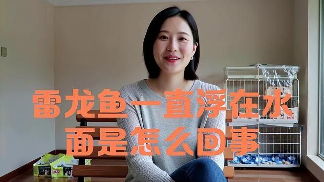 龍魚(yú)在水面不動(dòng)正常嗎怎么回事