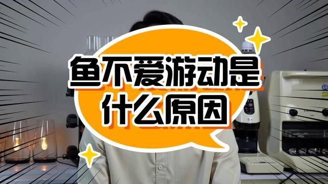 龍魚(yú)在水面不動(dòng)正常嗎怎么回事