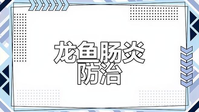 龍魚腸炎癥狀有哪些？ 龍魚腸炎癥狀有哪些？ 龍魚百科 第3張