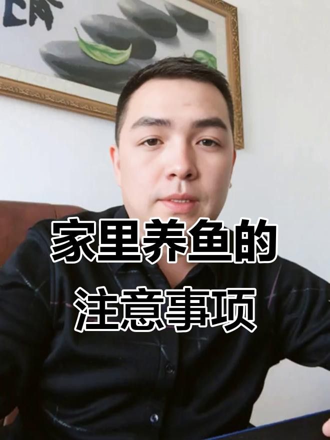 屬龍人養魚需要注意哪些事項？ 屬龍人養魚需要注意哪些事項？ 龍魚百科 第6張