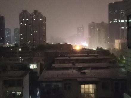 銀龍魚吃什么食物比較好