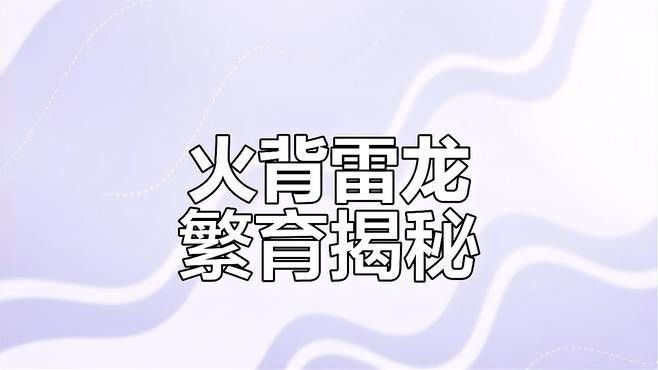 雷龍魚群養能繁殖嗎
