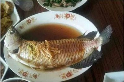 紅龍魚27CM吃什么（紅龍魚27cm適宜食物）