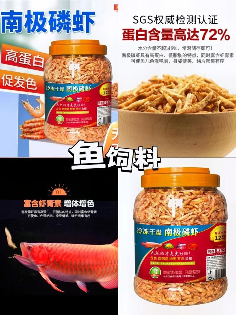 銀龍魚(yú)飼料