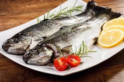 龍魚能吃三文魚肉嗎：龍魚可以吃三文魚肉嗎 龍魚能吃三文魚肉嗎：龍魚可以吃三文魚肉嗎 龍魚百科 第1張