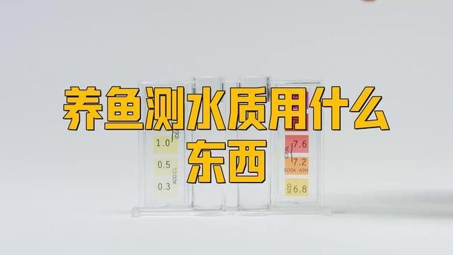 龍魚缸水質怎么檢測 龍魚缸水質怎么檢測 龍魚百科 第1張