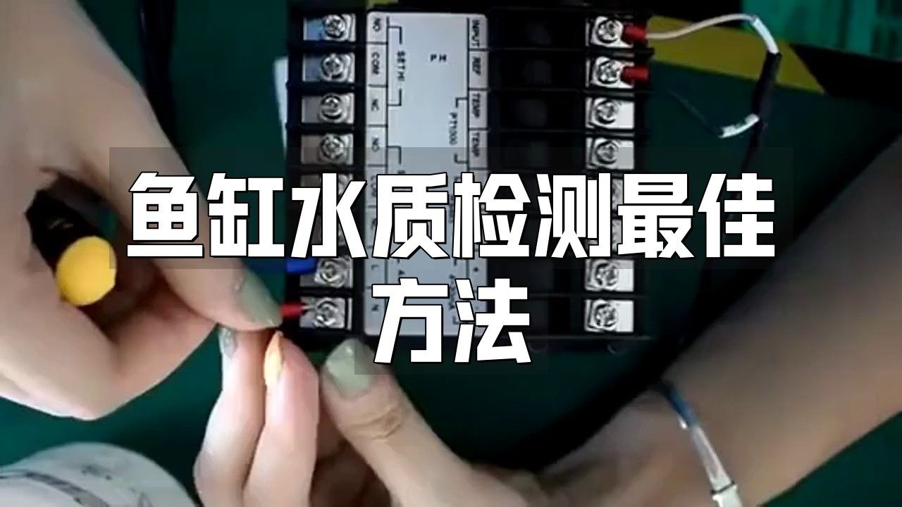 龍魚缸水質怎么檢測 龍魚缸水質怎么檢測 龍魚百科 第3張