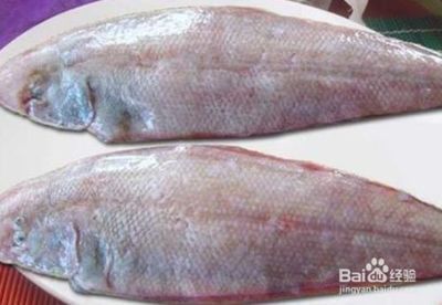 龍魚屬于海魚嗎為什么：龍魚是海魚嗎