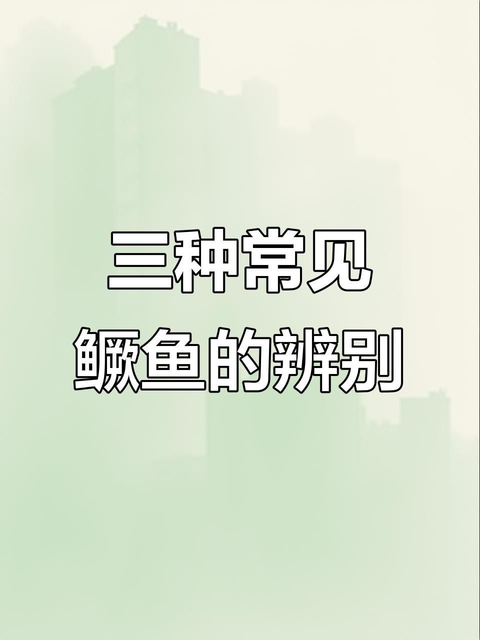 如何區分普通鱖魚和其他種類？