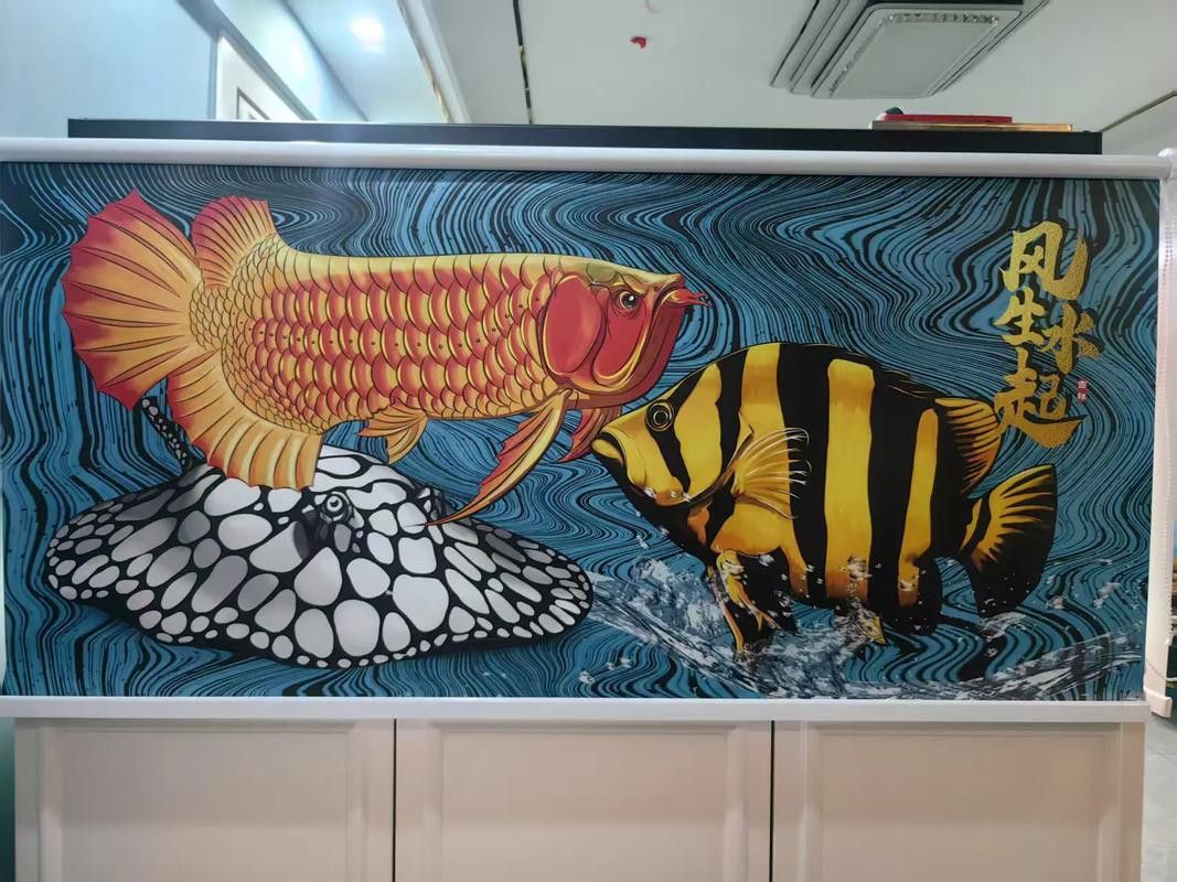 有哪些適合金龍魚魚缸的背景圖片？