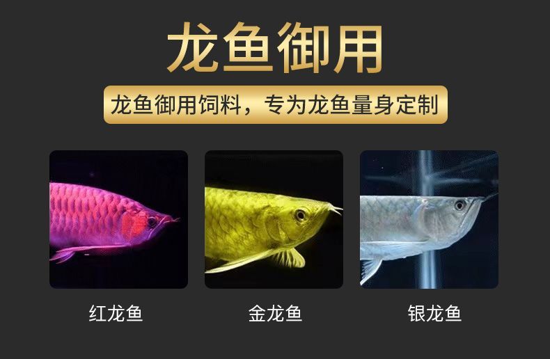 龍魚魚食怎么搭配最好圖片：成年龍魚日常飲食指南