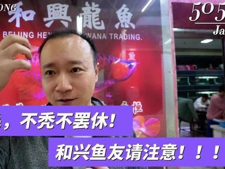 和興龍魚中國旗艦店烏魯木齊