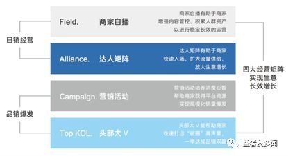 金龍魚營銷矩陣，金龍魚在快手電商的成功秘訣