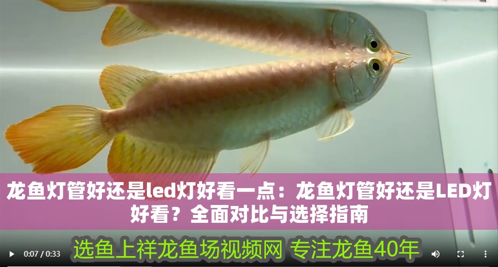 龍魚燈管好還是led燈好看一點：龍魚燈管好還是LED燈好看？全面對比與選擇指南 龍魚燈管好還是led燈好看一點：龍魚燈管好還是LED燈好看？全面對比與選擇指南 龍魚百科 第1張