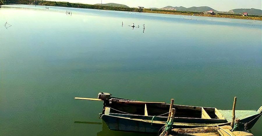 種草養(yǎng)魚需要多長時(shí)間才能見效？