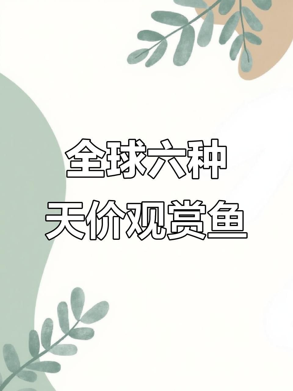 還有哪些觀賞魚(yú)價(jià)格昂貴？