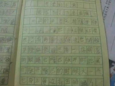 龍魚的選擇與鑒賞作文400字怎么寫：《龍魚的選擇與鑒賞》龍魚的選擇與鑒賞有著獨特的要點