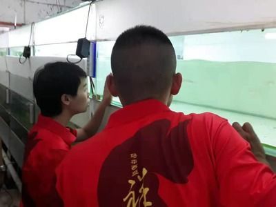 祥龍魚場獲獎情況梳理：祥龍魚場養殖技術揭秘祥龍魚場養殖技術揭秘