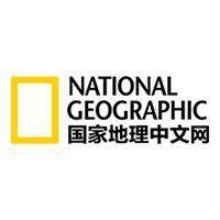 巨齒鯊滅絕了嗎