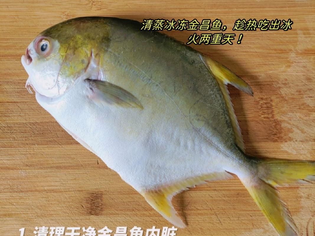 金昌魚圖片