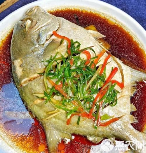 金昌魚圖片