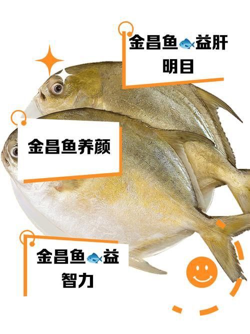 金昌魚圖片