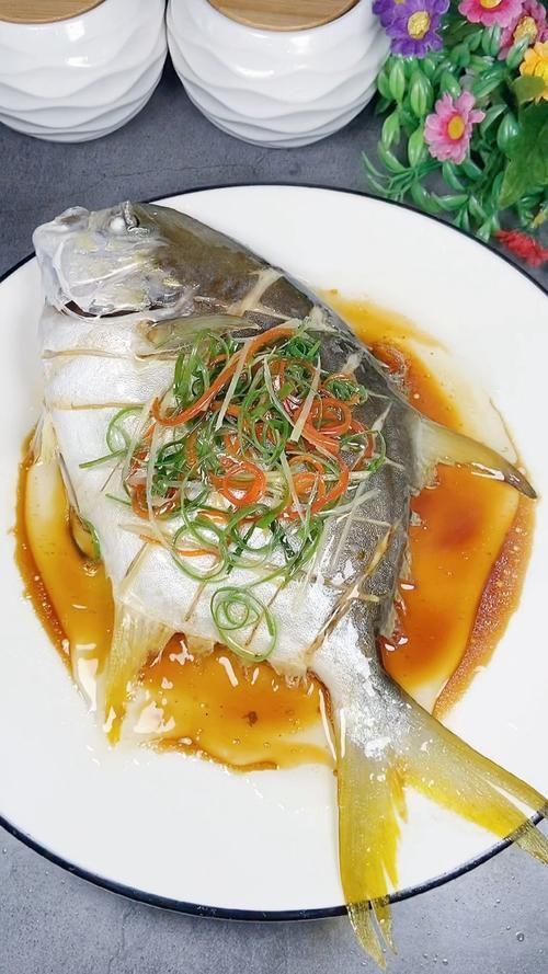 金昌魚圖片
