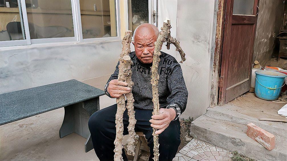 給我一些龍柱設計的案例