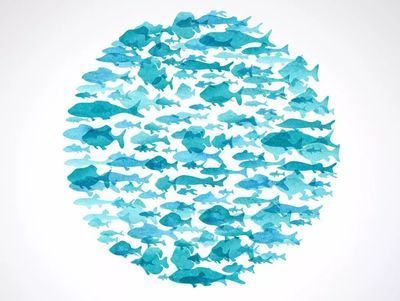 龍魚和虎魚一起養的風水寓意：龍魚和虎魚混養在風水學中有特殊的寓意龍魚和虎魚混養的寓意