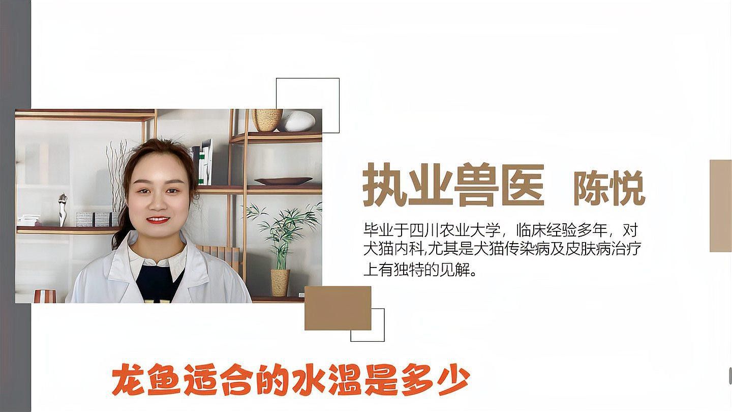 龍魚的最佳養(yǎng)殖環(huán)境是怎樣的？