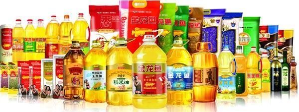 龍魚一般配什么魚：飛鳳魚和金龍魚混養水質管理技巧，虎魚與龍魚混養注意事項