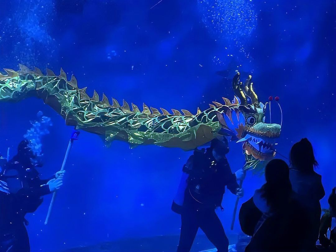 水族館金龍魚圖片 水族館金龍魚圖片 龍魚百科 第25張