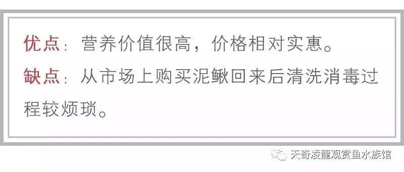 龍魚可以吃火腿腸嗎：龍魚不適合吃火腿腸，飼養者應該選擇更適合龍魚的食物
