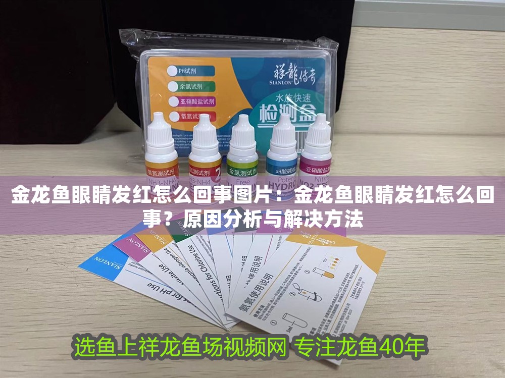 金龍魚眼睛發紅怎么回事圖片：金龍魚眼睛發紅怎么回事？原因分析與解決方法