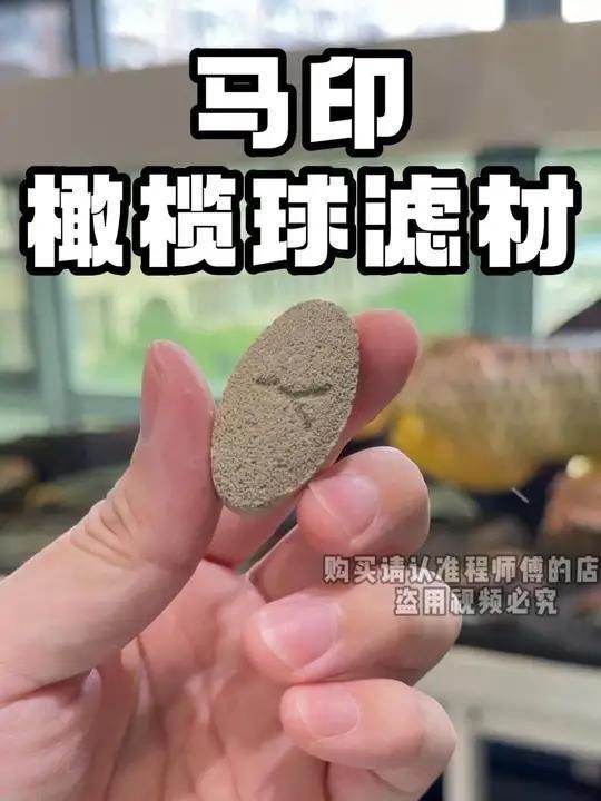 馬印橄欖球過濾好嗎？