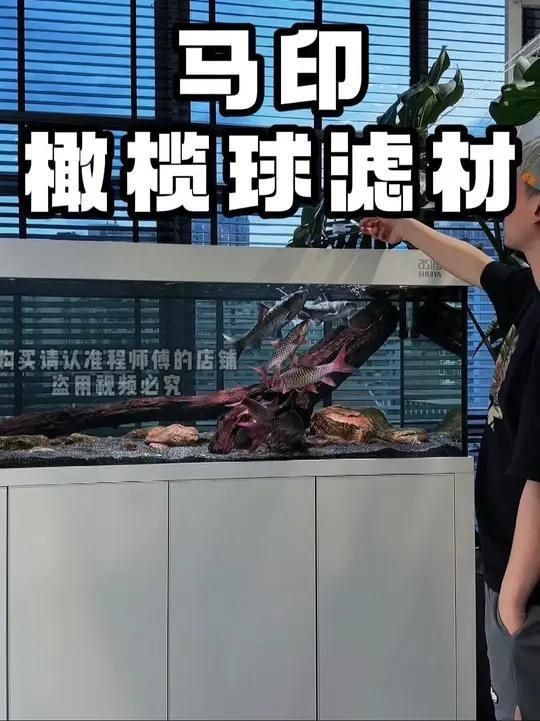 馬印橄欖球過濾好嗎？