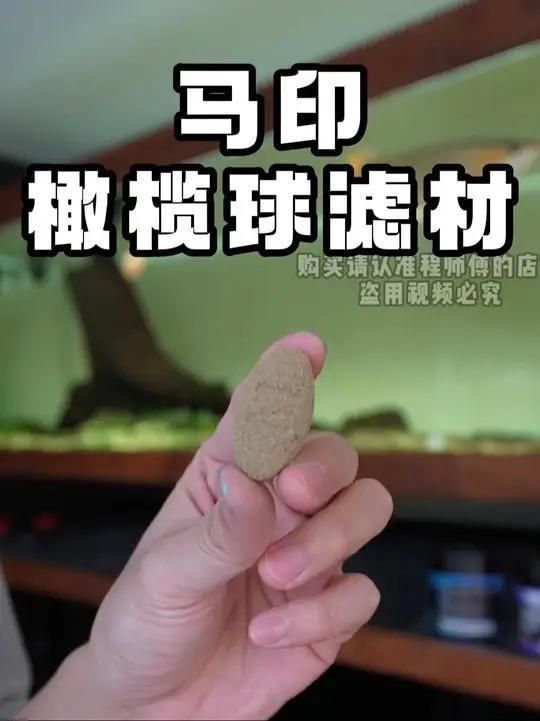 馬印橄欖球過濾好嗎？