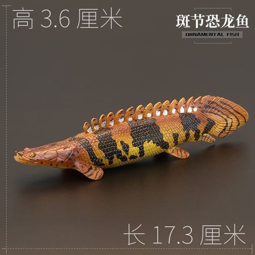 恐龍魚(yú)有幾種品種圖片及名稱